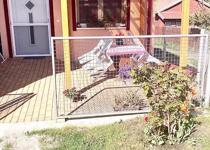 Nyaraló Sára Buzsák *